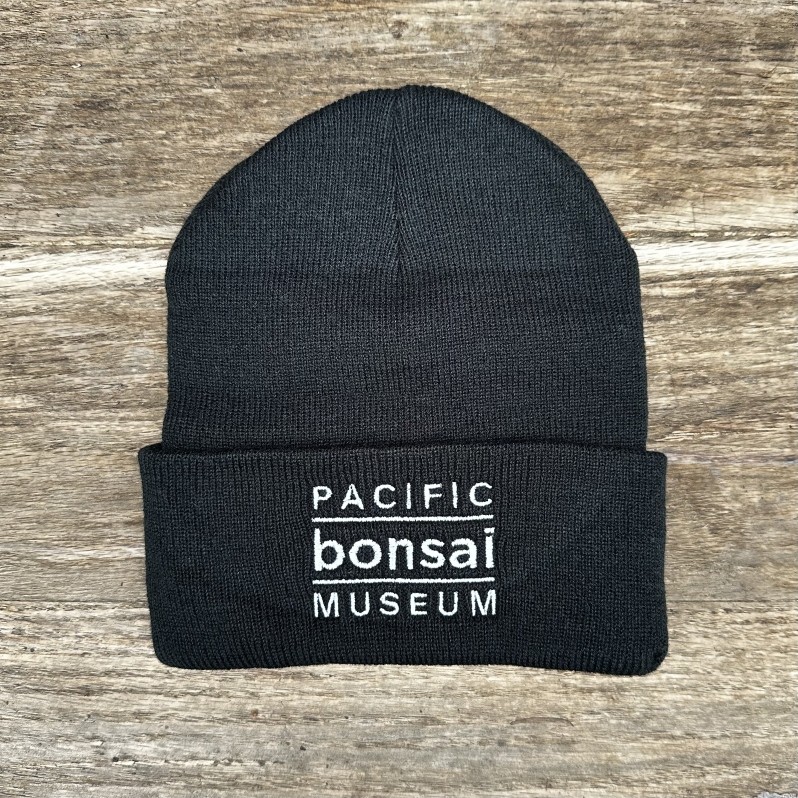 Beanie - Black