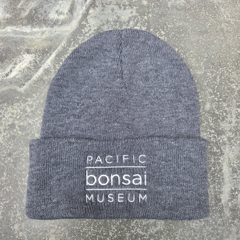 Beanie - Grey