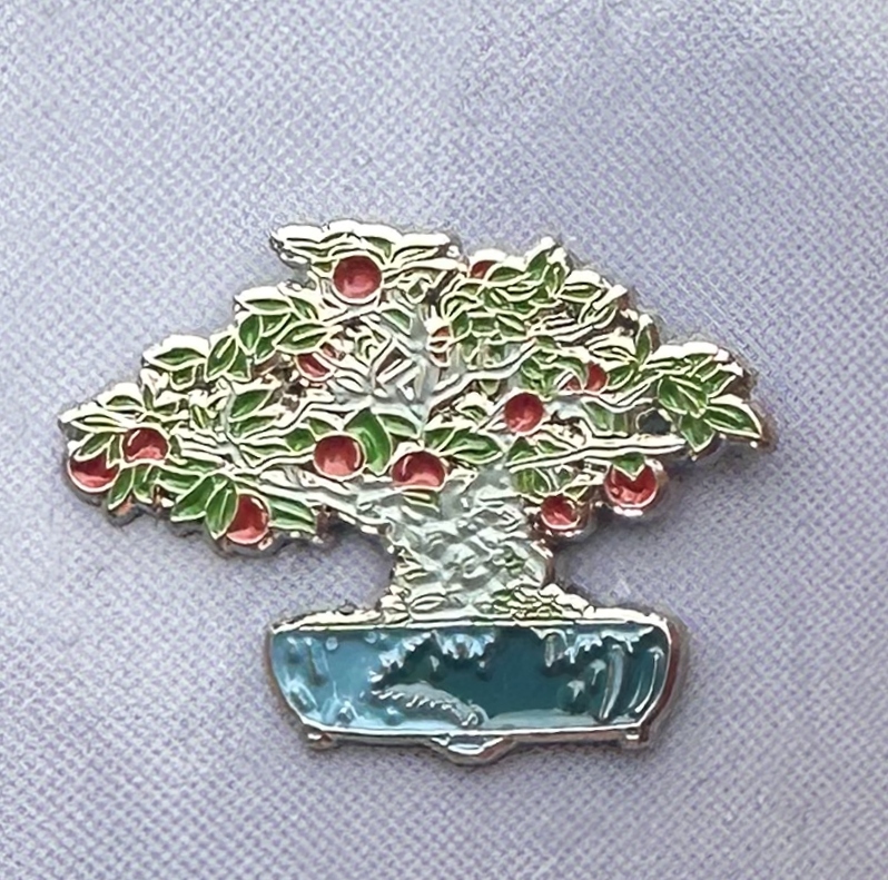 Apple Pin