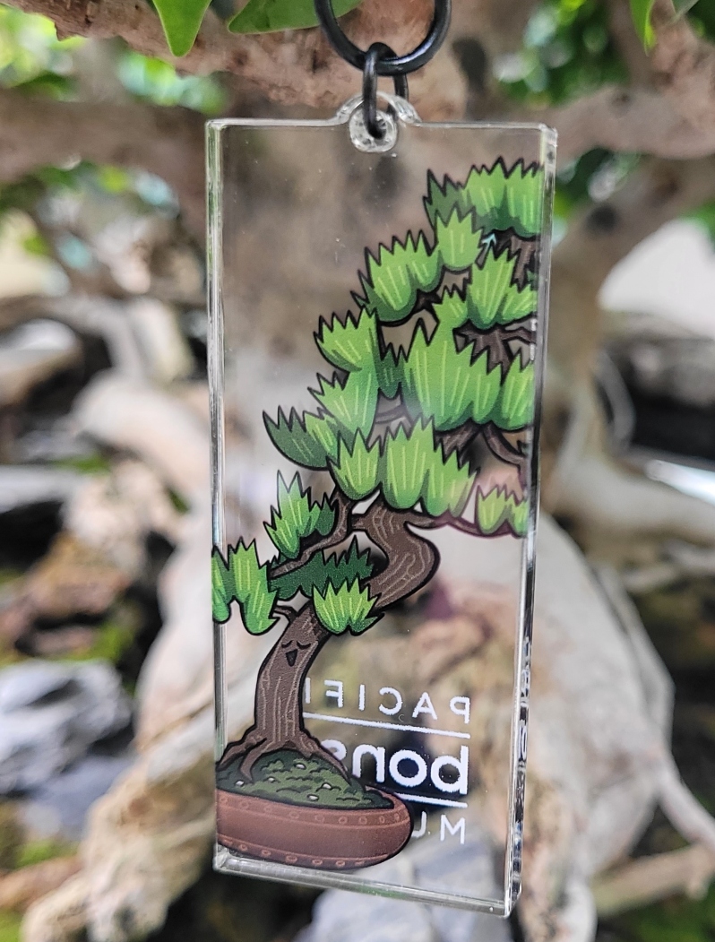 Japanese Black Pine Keychain